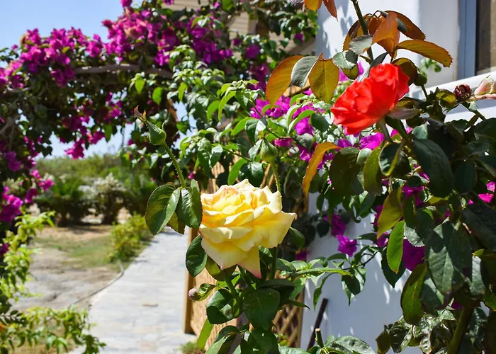 アパート Infinity