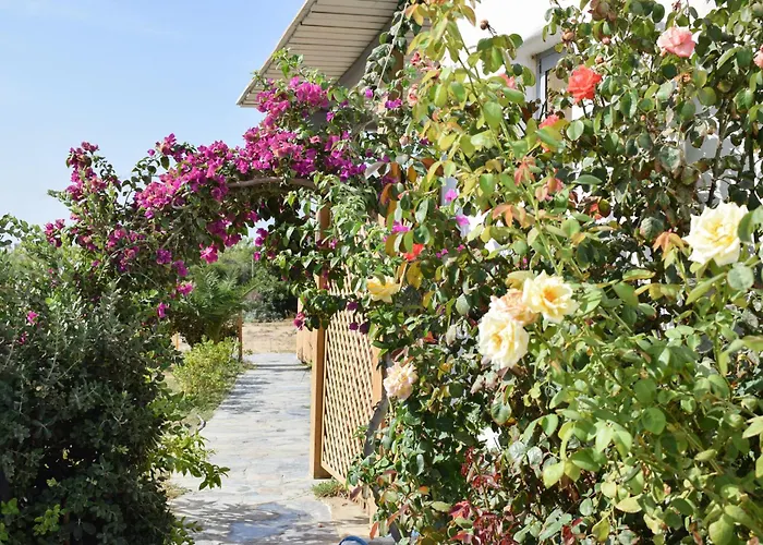 Infinity アパート *