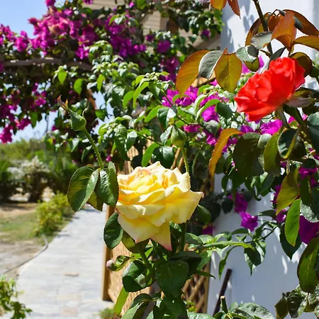 Apartamento Infinity