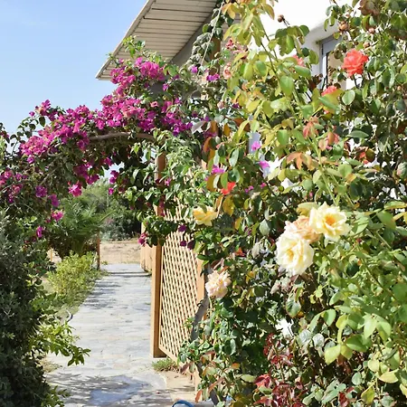 Infinity Apartamento *